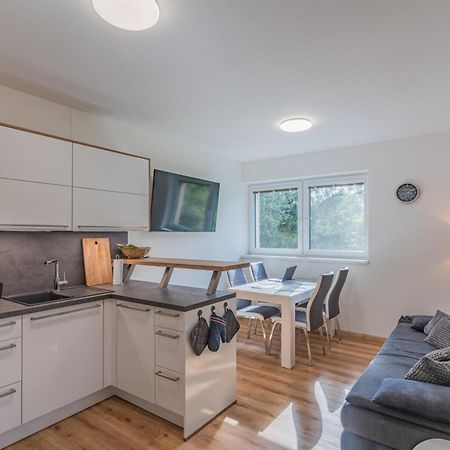 Apartman Černá v Pošumaví Eksteriør billede